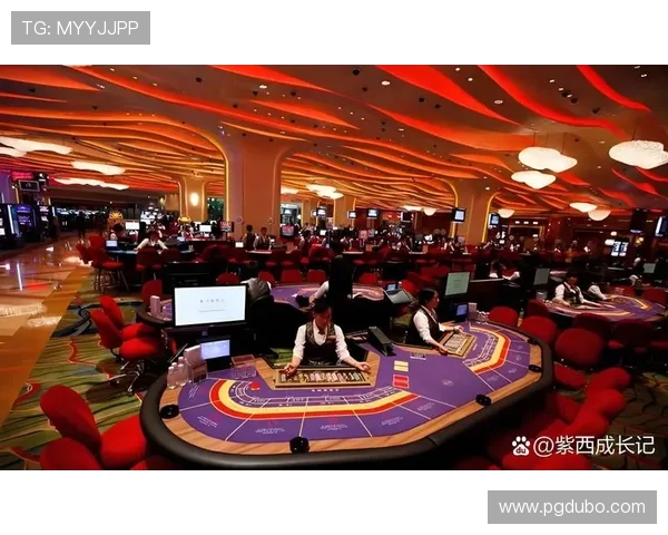 探索澳门赌场最有名的十大豪华娱乐场所