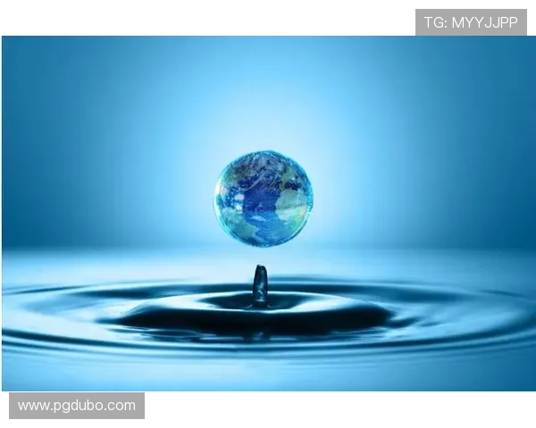 探索q8ang：揭示其背后的意义与应用